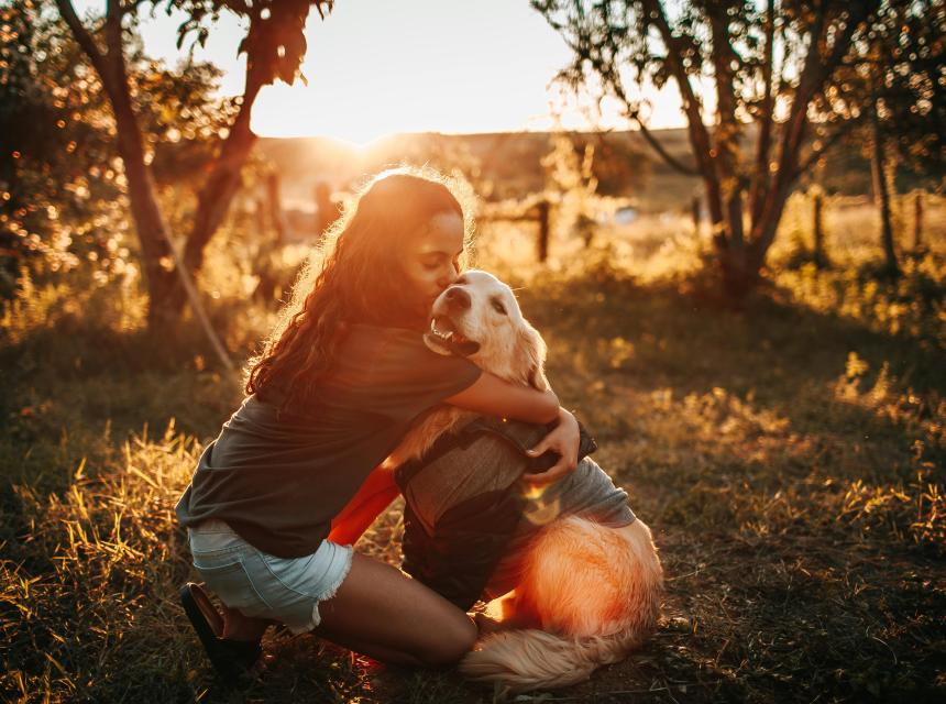 ko izgubiš hišnega ljubljenčka